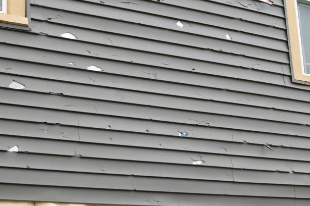  Castle Hills, TX Siding Installation & Repair Pros